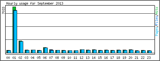 Hourly usage